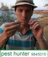 Pest-Hunter