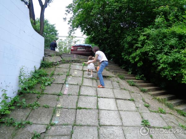 Детская обувь Аллигаша фото