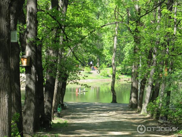 Харитоновский сад (Парк Пионеров) (Россия, Екатеринбург) фото