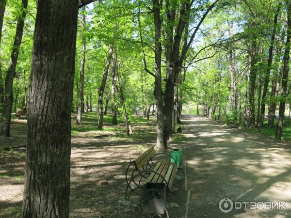 Харитоновский сад (Парк Пионеров) (Россия, Екатеринбург) фото