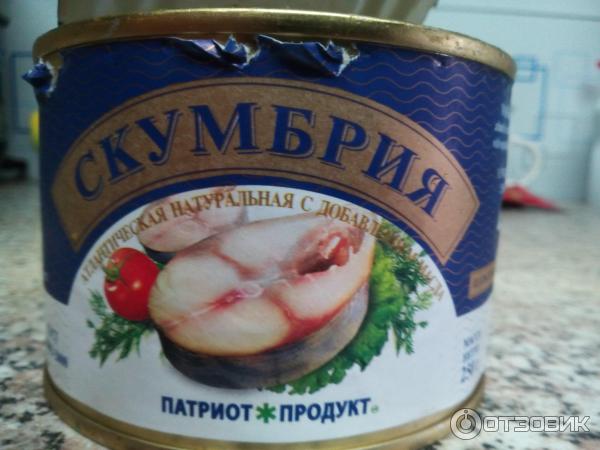 Скумбрия