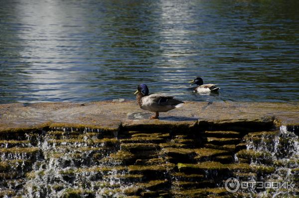 водопад