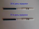 Тест для определения беременности Evitest Plus фото