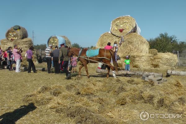 Кружилинский музей-заповедник Подворье казака-середняка (Россия, Ростовская область) фото