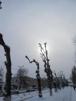 МП "Спецремстройзеленхоз" (Россия, Самара) фото