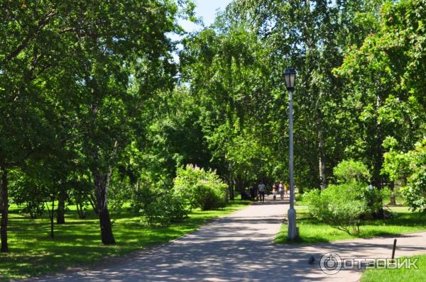 Первомайский сквер новосибирск фото Отзыв о Первомайский сквер (Россия, Новосибирск) Сквер становится всё краше и зе