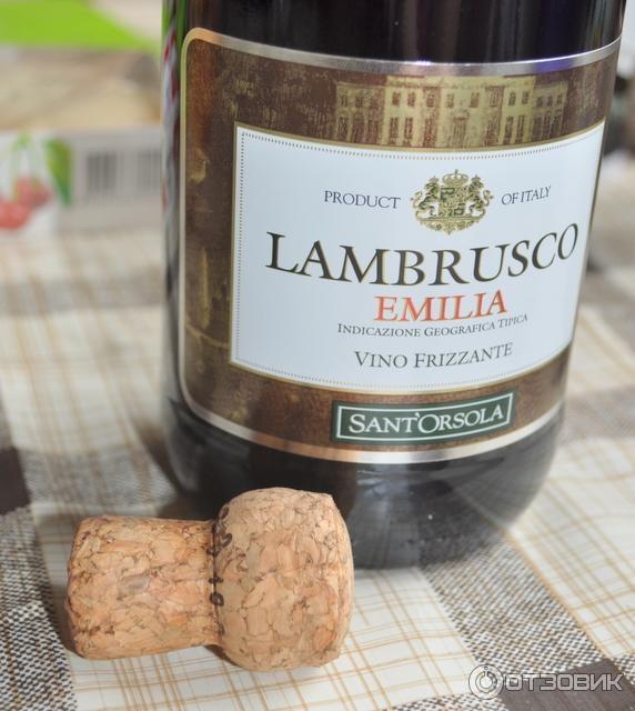 слабо игристое вино Sant Orsola Lambrusco Emilia красное Ламбруско