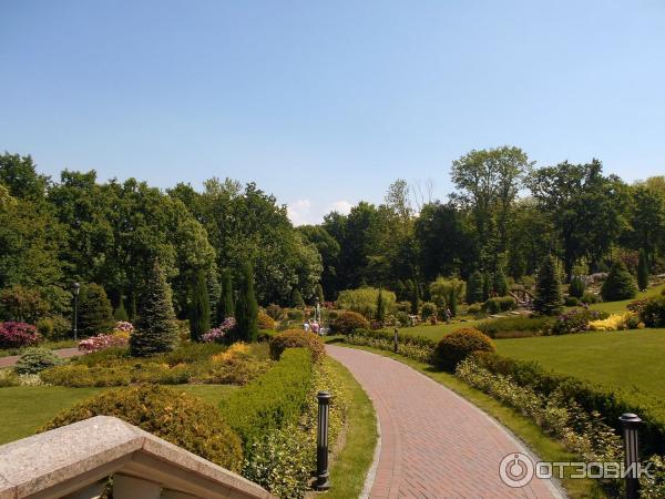 Нижний парк перед Хонкой. Межигорье