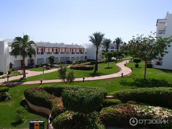 Отель Melia Sharm 5* (Египет, Шарм-эль-Шейх) фото