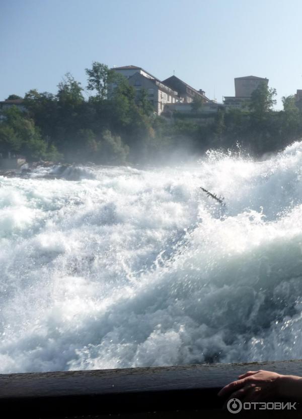 Рейнский водопад (Швейцария) фото