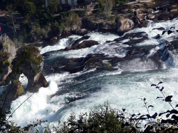 Рейнский водопад (Швейцария) фото