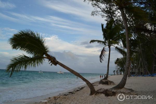 Отель Vista Sol Punta Cana (Доминикана, Пунта Кана) фото