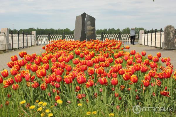 Город Рыбинск (Россия, Ярославская область) фото