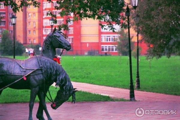 Город Долгопрудный Московской Области Фото