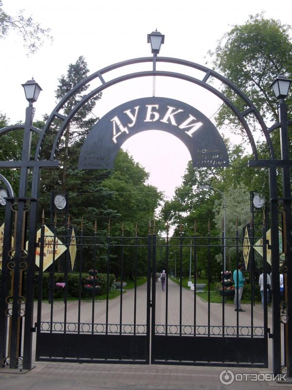 Парк Дубки В Сестрорецке Фото