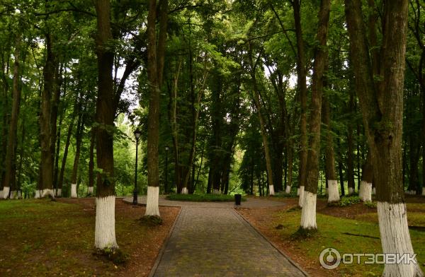 Национальный литературно-мемориальный музей Г. С. Сковороды фото