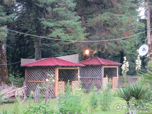 Кафе Апацха Миха Иашта фото