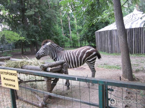 Сафари Парк Краснодар Цена