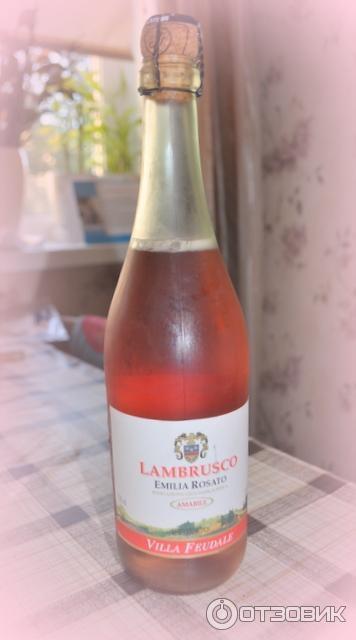 Вино игристое розовое полусладкое жемчужное Lambrusco Emilia Rosso Villa Feudale