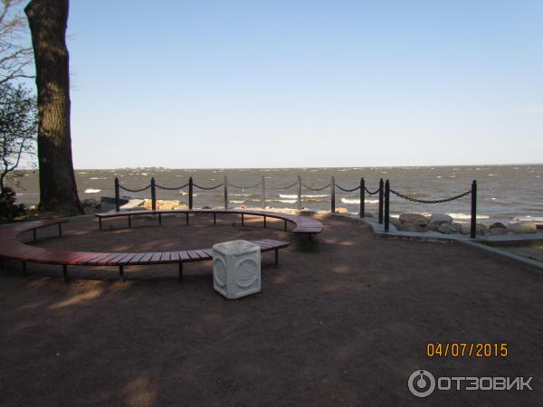 Парк Дубки В Сестрорецке Фото