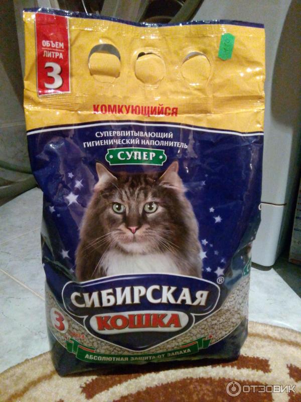 Кошачий туалет сибирская кошка