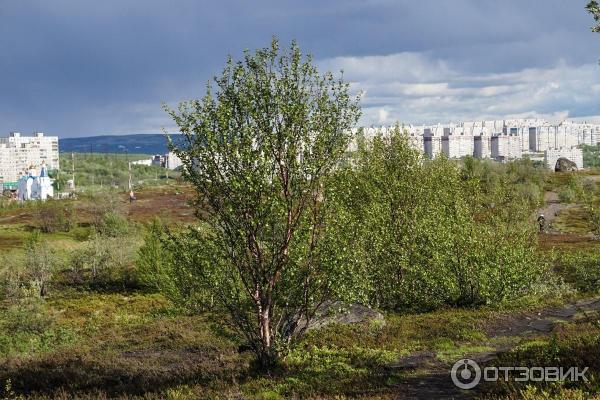 Город Мурманск (Россия, Мурманская область) фото