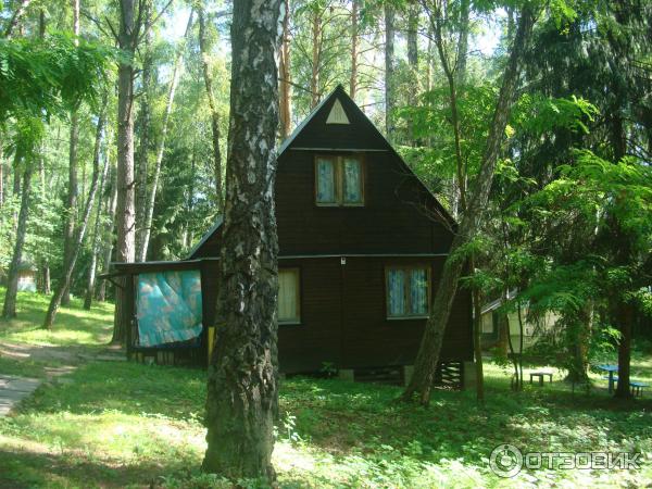 Отдых на оке в домиках недорого московская. Очковские горы Ока. Очковские горы турбаза Серпухов. База Ока Очковские горы. Турбаза Ока Калужская область.