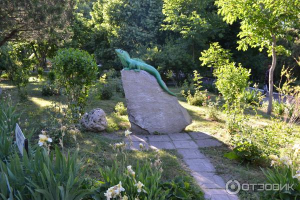 Санаторий Виктория Ессентуки отзывы