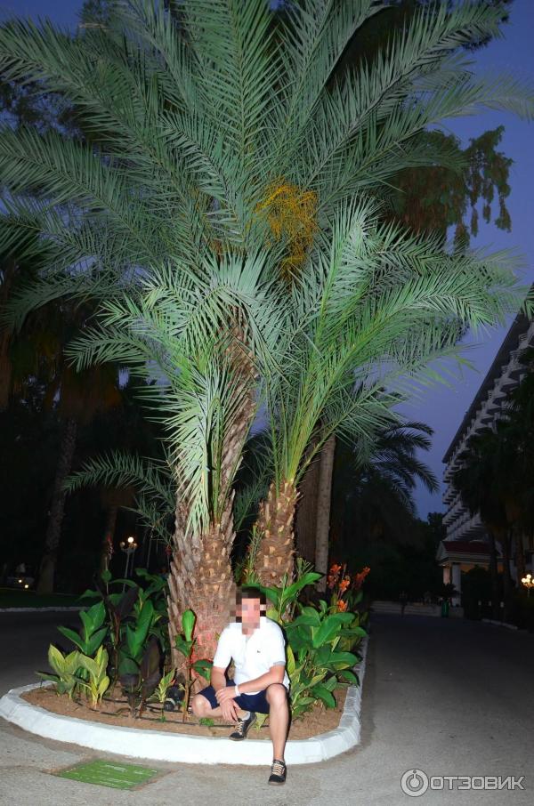 Отдых в поселке Текирова (Турция) фото