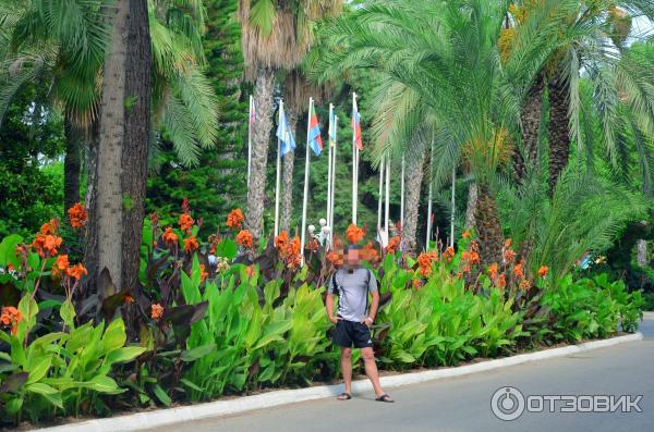 Отдых в поселке Текирова (Турция) фото