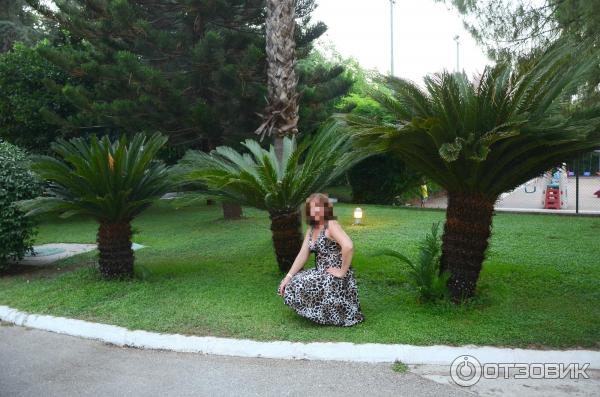 Отдых в поселке Текирова (Турция) фото