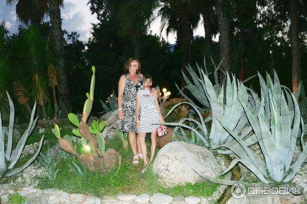 Отдых в поселке Текирова (Турция) фото