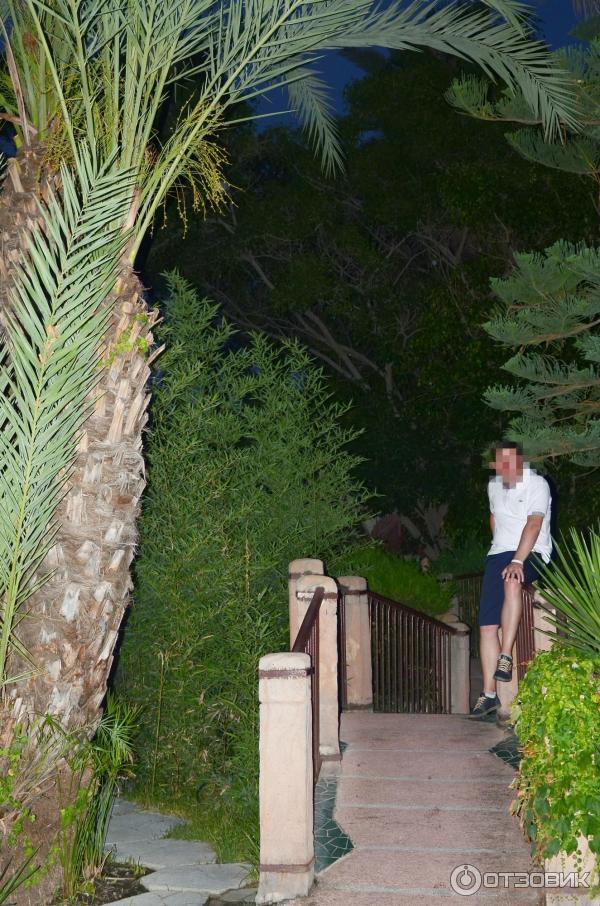 Отдых в поселке Текирова (Турция) фото