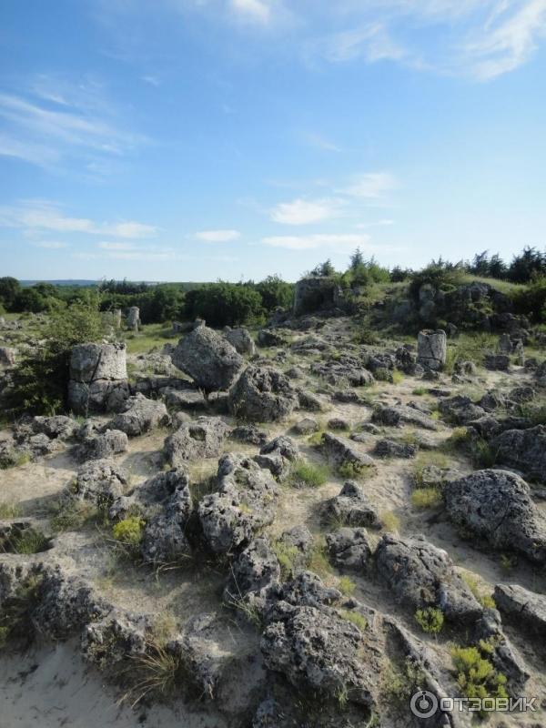 Экскурсия в Каменный лес Побитые камни (Болгария, Варненская область)