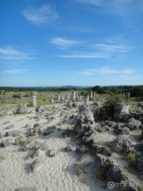 Экскурсия в Каменный лес Побитые камни (Болгария, Варненская область)