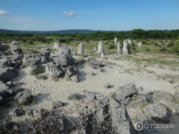 Экскурсия в Каменный лес Побитые камни (Болгария, Варненская область)