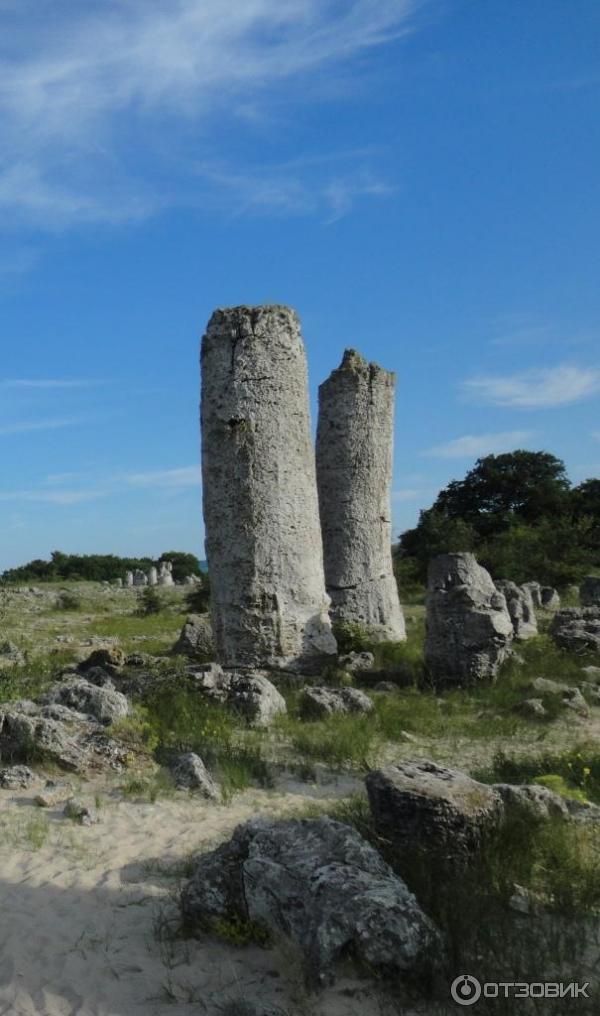 Экскурсия в Каменный лес Побитые камни (Болгария, Варненская область)