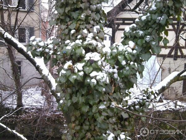 Экскурсия по г. Эслинген-ам-Неккар (Германия, Баден-Вюртемберг) фото