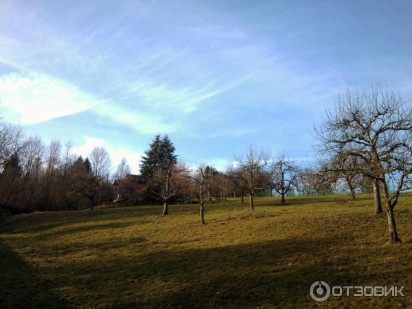 Экскурсия по г. Эслинген-ам-Неккар (Германия, Баден-Вюртемберг) фото