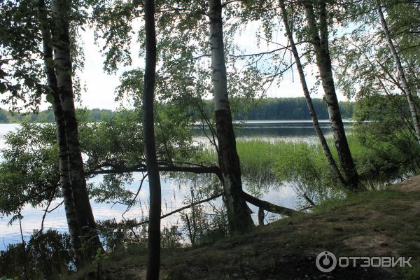 Пестовское водохранилище отдых с палатками