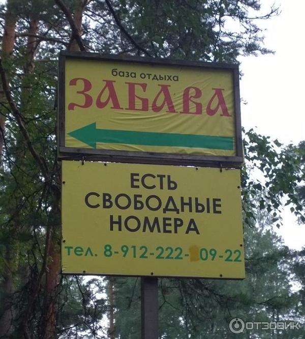 База отдыха Забава фото