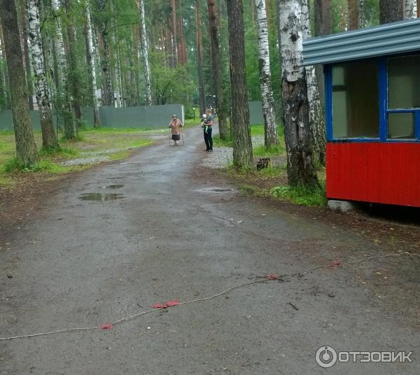 База отдыха Забава фото
