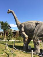 Динопарк Discoveryland (Турция, Манавгат-Илича) фото