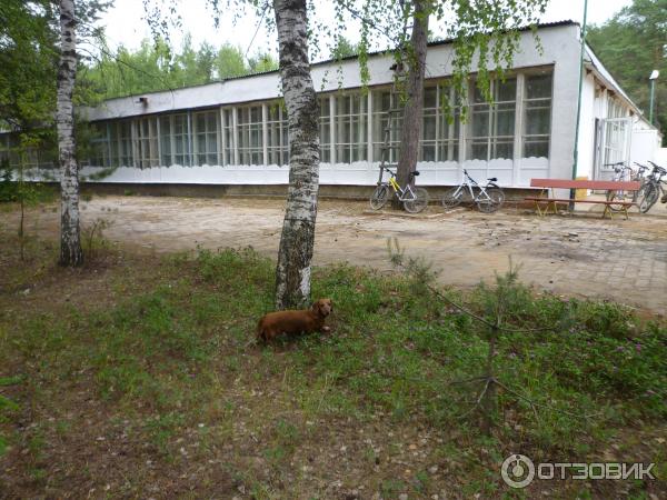 Турбаза чайка селижарово тверская область. Чайка Волго Тверская область. Турбаза Чайка Селижарово. Турбаза Чайка Тверская область. Турбаза Чайка озеро Волго.