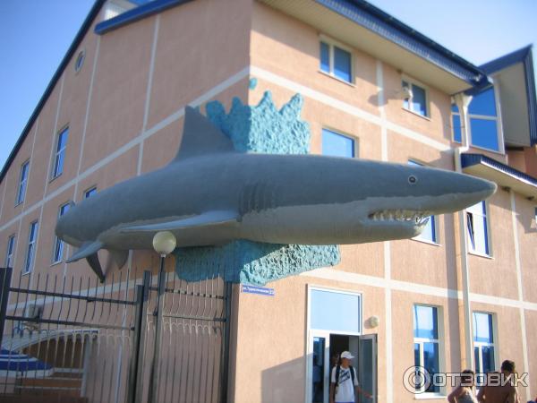 Аквапарк Золотая бухта (Россия, Геленджик) фото