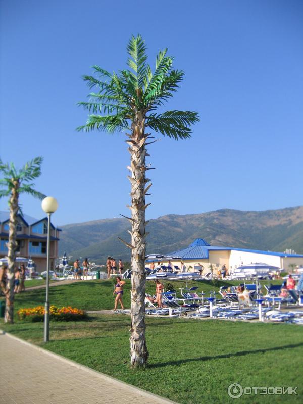 Аквапарк Золотая бухта (Россия, Геленджик) фото