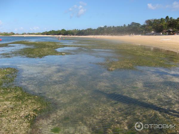 Отель Nusa Dua Beach Hotel & Spa 5* (Индонезия, Бали) фото