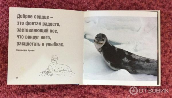 Книга Поделись улыбкою своей... - Дэвид Байрд фото