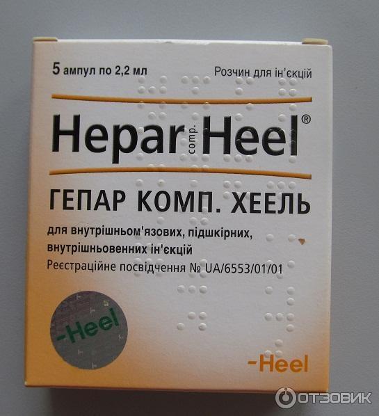 №50. Гомеопатия для печени. Гомеопатия горошинки. Гомеопатические капли от алкоголизма в аптеке. Галстена.