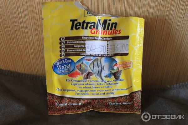 Рыбки тернеция гло. Рыбки тернеция гло. Тернеция. Тернеции какой корм. Рыбка тернеция карамелька.